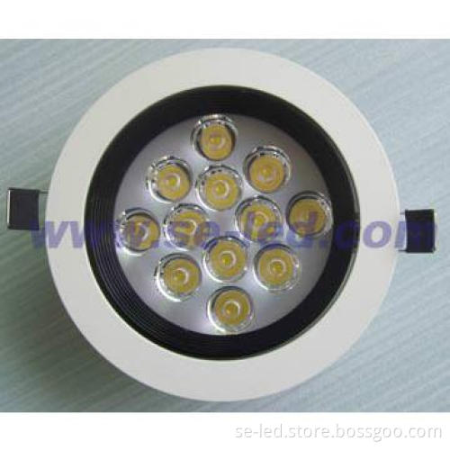 12W Indoor LED Ceiling Light